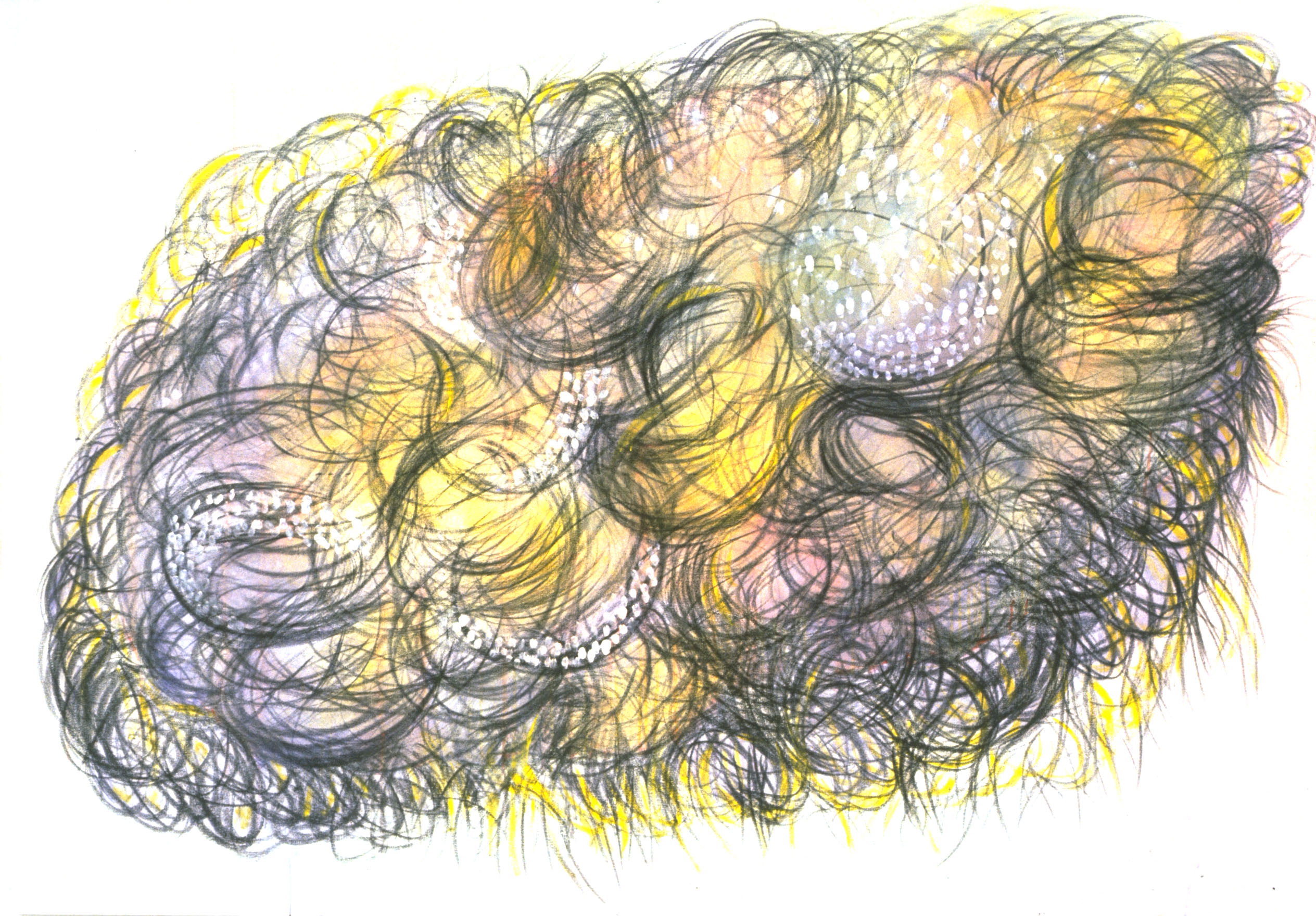 Untitled C10 (1990) [99″ x 66″]