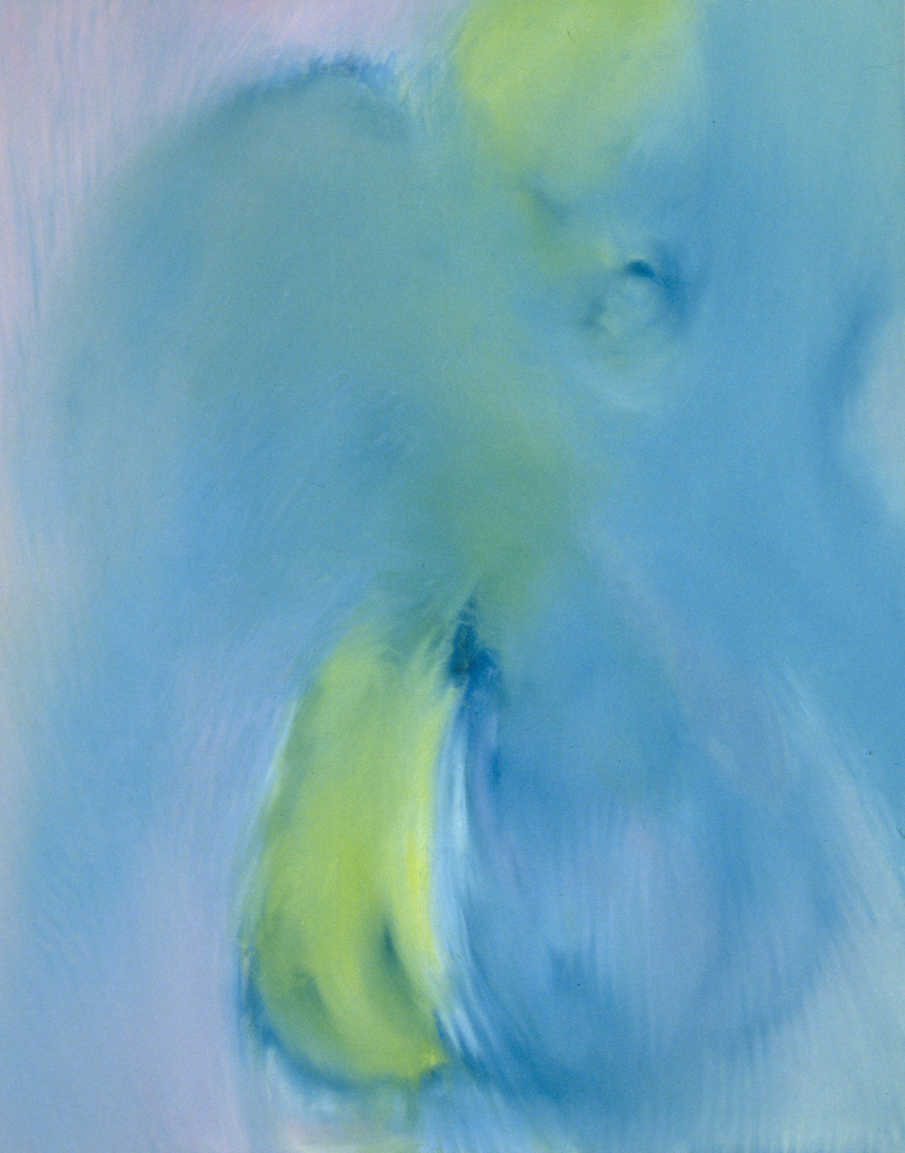 Untitled E103 #YT- 053 (1998) [58″X46″]